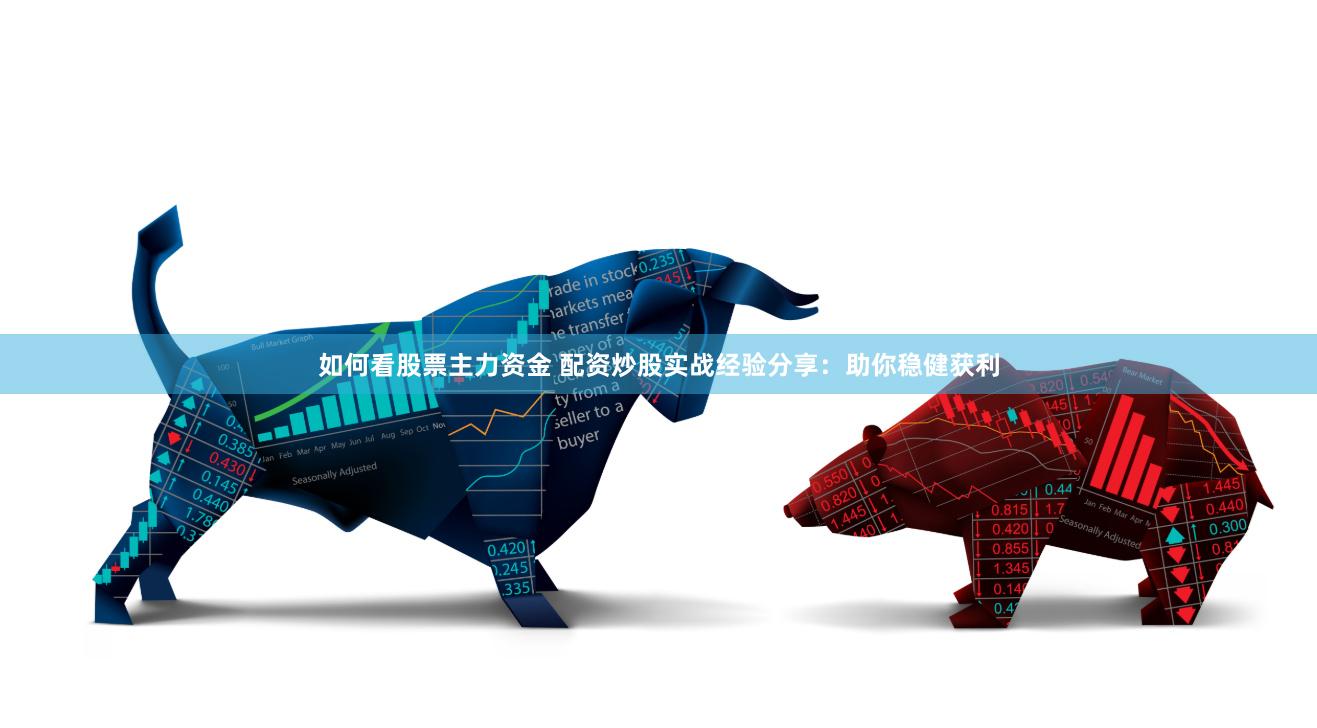 如何看股票主力资金 配资炒股实战经验分享：助你稳健获利