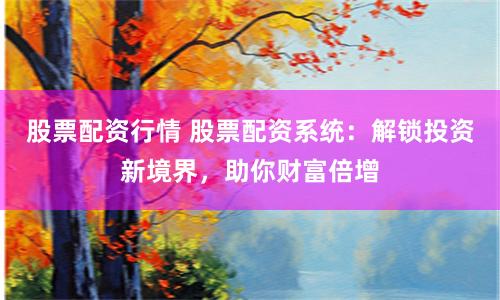 股票配资行情 股票配资系统：解锁投资新境界，助你财富倍增