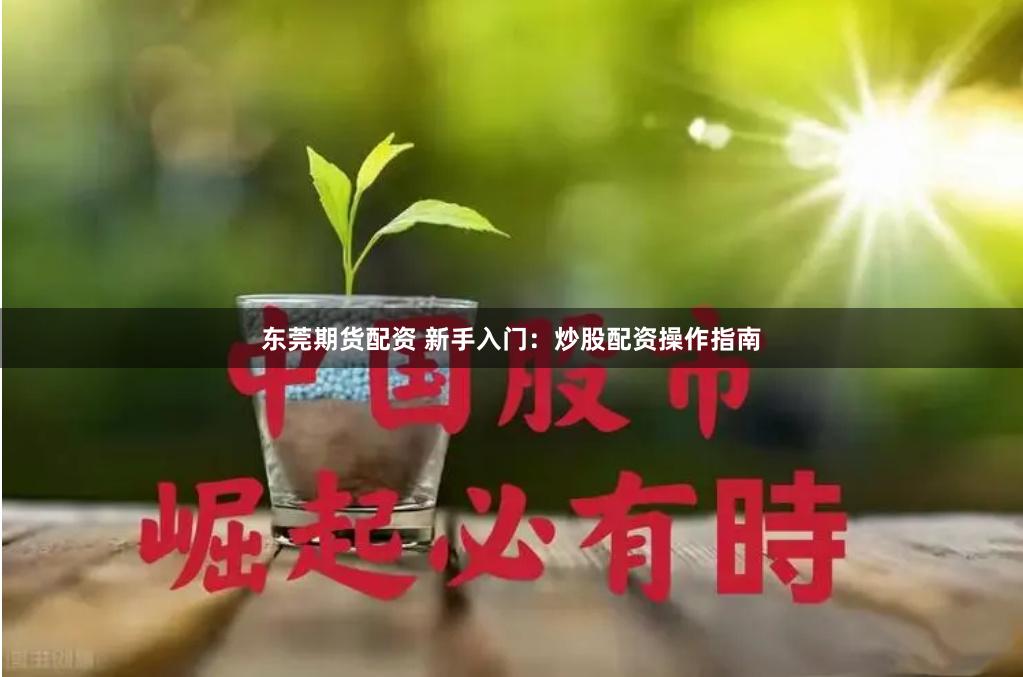 东莞期货配资 新手入门：炒股配资操作指南