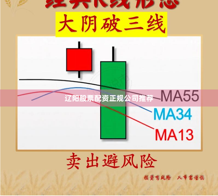 辽阳股票配资正规公司推荐