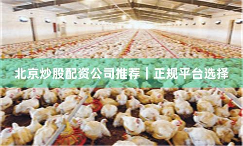 北京炒股配资公司推荐｜正规平台选择